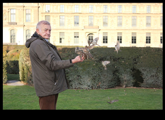 Louvre Courtyard Birds