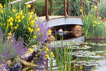 How to Build a Backyard Pond: Water Garden Landscaping Ideas