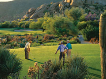 Find your Bliss... in Scottsdale
