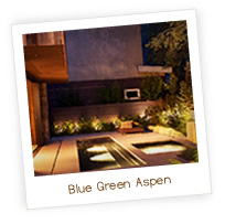 Blue Green Aspen